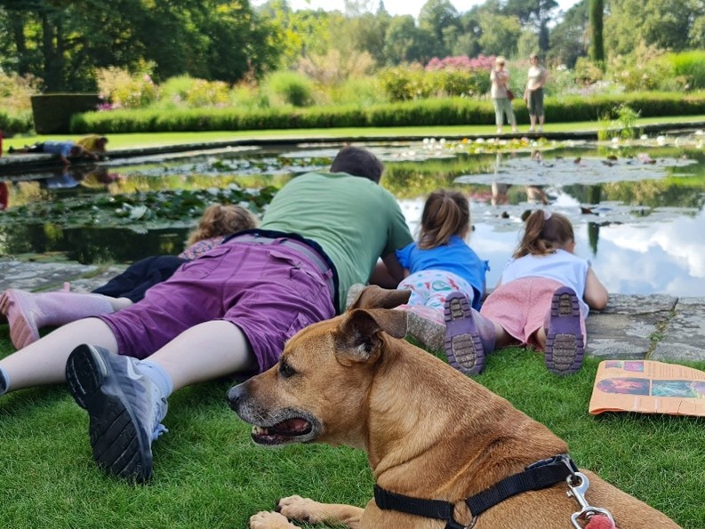 A family lying on the grass by lake with dog